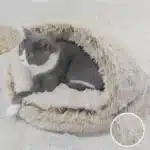 Coussin chat pilou 19