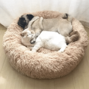 Panier pilou pilou chien