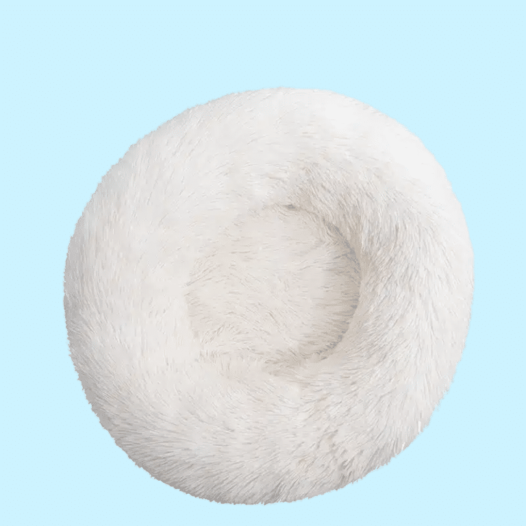 1008466951-Photoroom