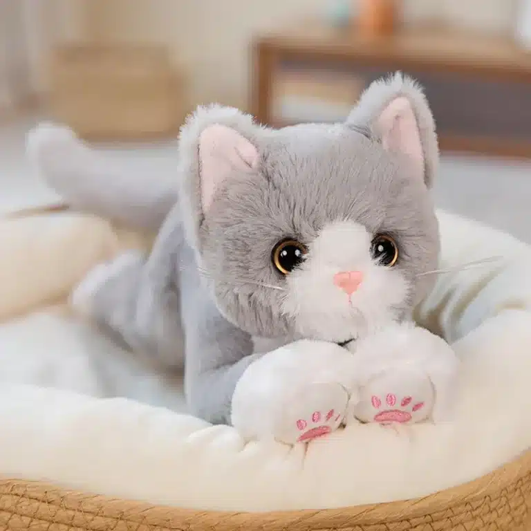 Peluche chat bebe 5