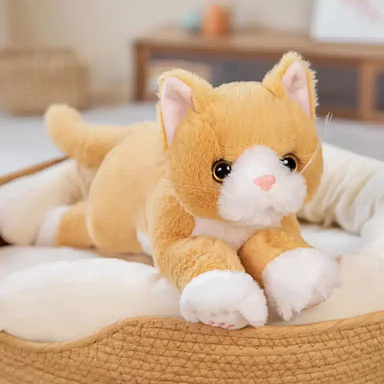 Peluche chat bebe 6