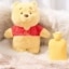 Bouillotte Peluche Pilou Pilou