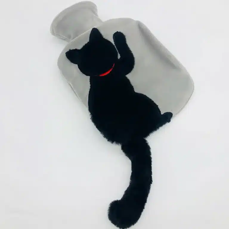 Chat bouillotte 2