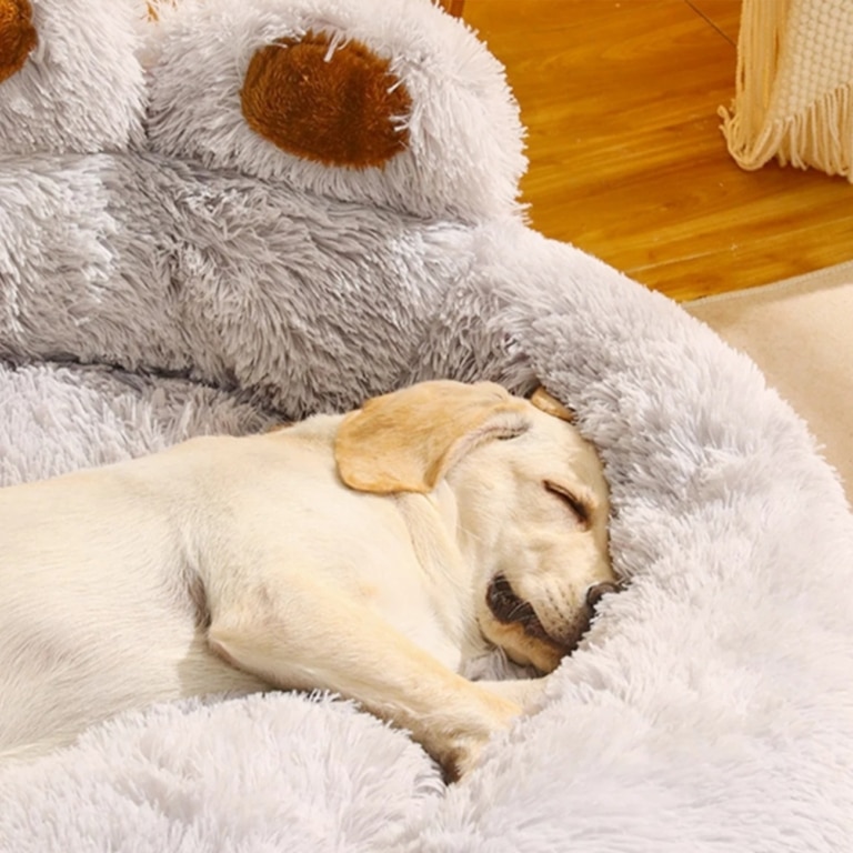 S36016b90b4274fe380965dd6c14ae6b (1)