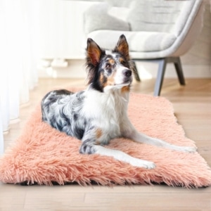 Fluffy tapis chien
