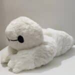 S09d61d92b0d042b2869115defddbb41 (1)