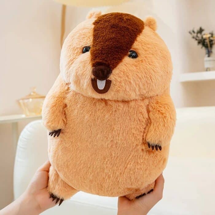 S118ae8fa3556486b88707ec7b0e3e9f