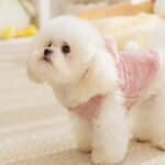 S82267dc181b743e0ab661c7b5c6dd88