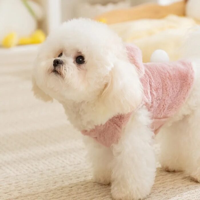 S82267dc181b743e0ab661c7b5c6dd88