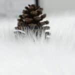 Saf1d4100e3f5403188d9e2fc9069790