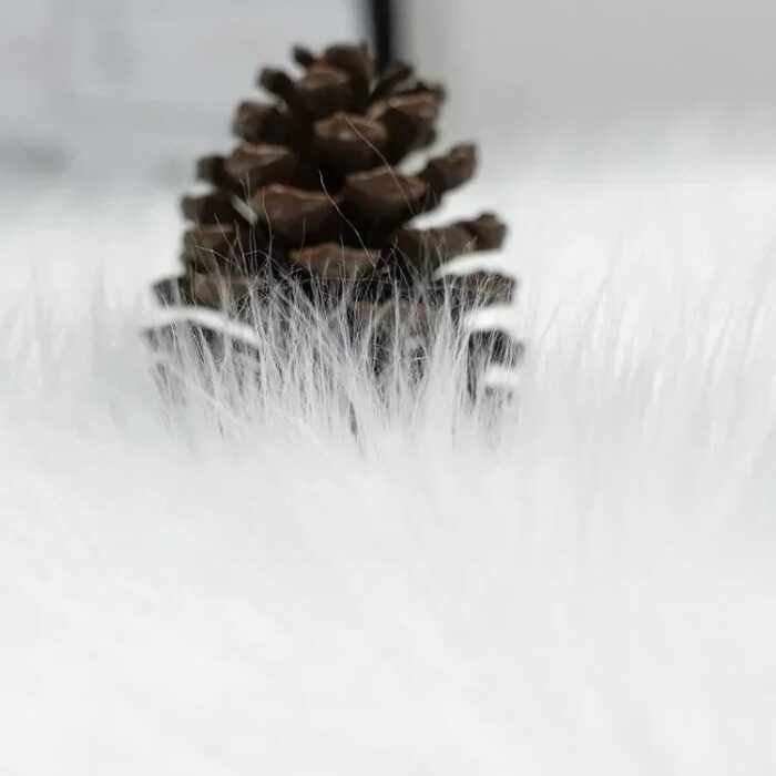 Saf1d4100e3f5403188d9e2fc9069790