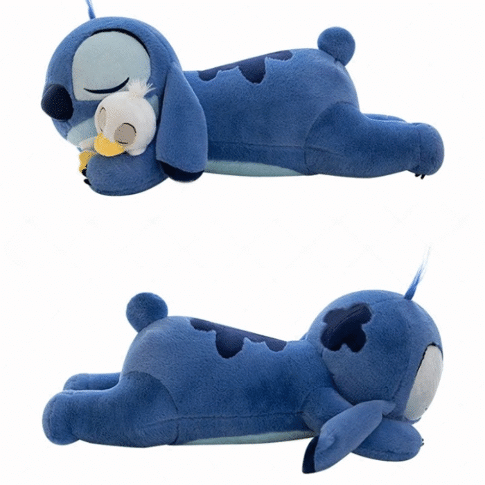 S45dc6d52313945dc994c6d621914b8e_cleanup