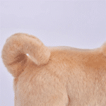 S5618b4d758ab4e8692056bb0e163cd1_cleanup