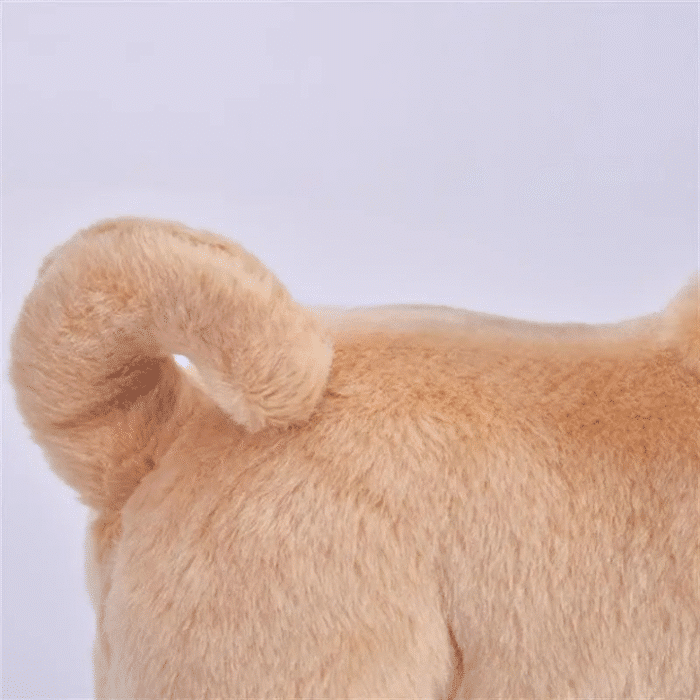 S5618b4d758ab4e8692056bb0e163cd1_cleanup