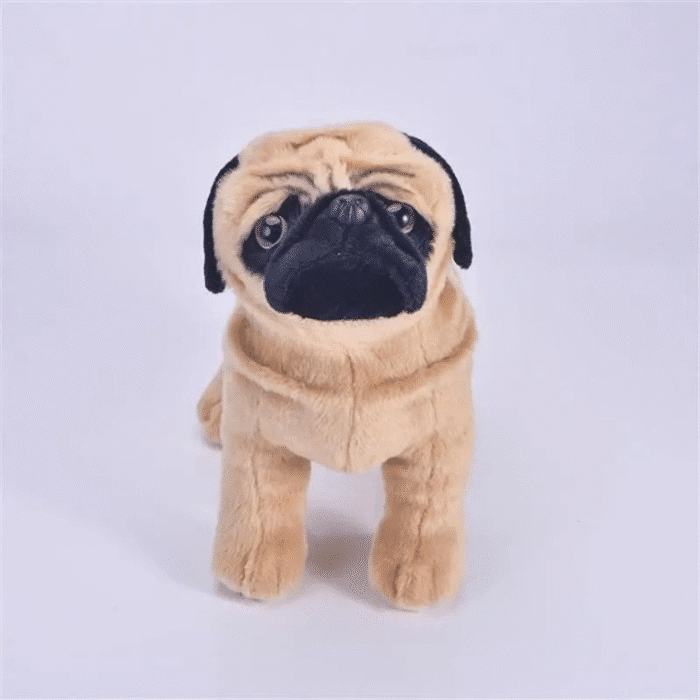 Sf20272ed76f24241adf0c5f17072107_cleanup