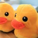 12faa4ea-9db2-44b3-83a9-44f538f8bfec (1)