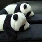 65a357dd-d27c-415c-81ce-192081af15a9 (1)