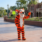 37ca4047-6acc-4a52-8304-8a3c2b3d4f71_cleanup