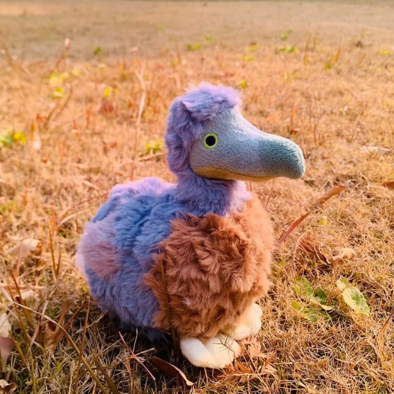 S813a7c66a1a84ed893fb2065013715b5Q