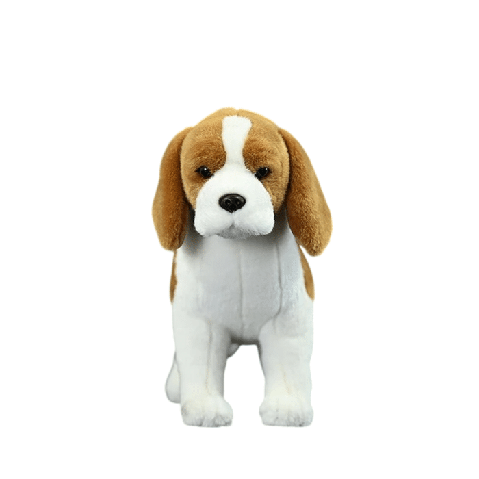 S8a47e140e20b4856b94c331dbdeaaa0ep-Photoroom