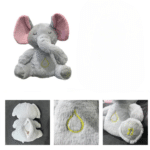 Sde358465589346beaaeae22c71847271R_cleanup